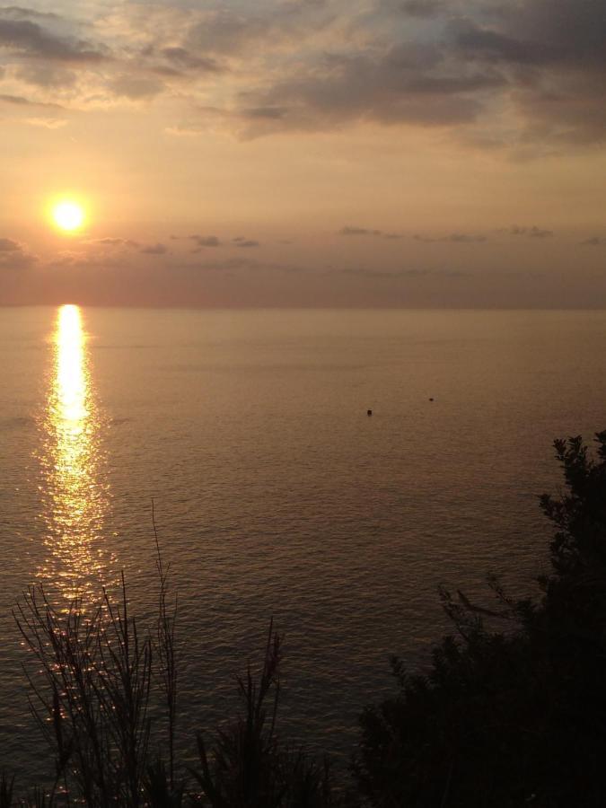 Anjos'S Choice Villa Ponta do Sol  Buitenkant foto